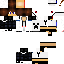 Texture for wendel2015