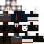 Texture for Droii formal