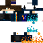 Texture for Falcon