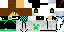 Texture for fh