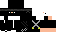 Texture for ninja