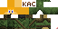 Texture for Ranger Infinitepie
