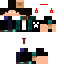 Texture for Spidercraft
