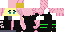 Texture for flutterspy