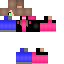 Texture for rosa 2