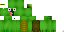 Texture for turtle