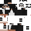 Texture for Pinguino
