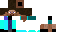 Texture for darwin