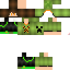 Texture for PickleFeature344