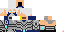 Texture for Master_Ninja282