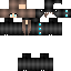 Texture for SHIR