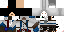 Texture for Assasins Creed