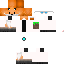 Texture for доктор лис 2