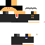 Texture for admin WINCKYs