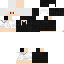 Texture for sdasd