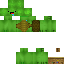 Texture for trtle