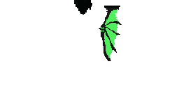 Texture for Green wings