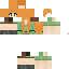 Texture for ANM ALEX