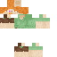 Texture for Steve+Alerx