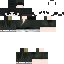 Texture for gwt4e4