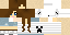 Texture for Ice Skating