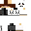 Texture for PandaRandom