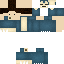 Texture for mester dino