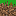Texture for terra