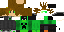 Texture for creeper10