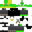 Texture for rana rogue
