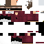 Texture for steve