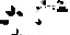 Texture for Cute Bunny