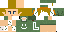 Texture for LInk calsa arriada