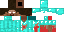 Texture for  hero brine the miner