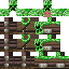 Texture for TYT