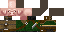 Texture for pig