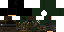 Texture for Ranger's Apprentice