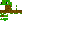 Texture for Turtle