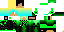 Texture for Lucas