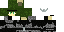 Texture for MiniLInks