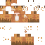 Texture for FoxTemplate