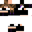 Texture for NYan cat