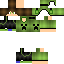 Texture for steve