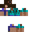 Texture for Namorada do Herobrime