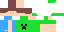 Texture for Steve010