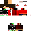 Texture for Steve