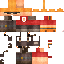 Texture for Dinye3856