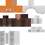 Texture for Librarian