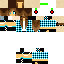 Texture for NERF