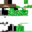 Texture for dolph1